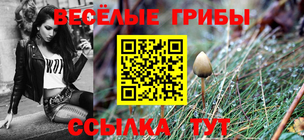 Псилоцибиновые грибы Cubensis  Галлюциногенные грибы Cubensis  Якутск  Вход с VPN 